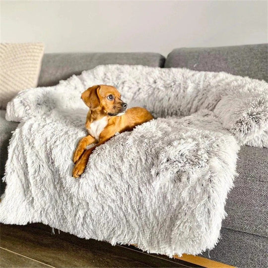 Everyday Comfort Dog Bed – Soft & Cozy Sleeping Mat