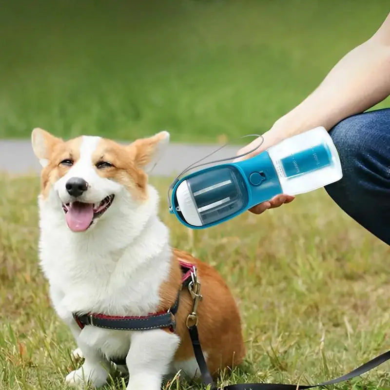 3-in-1 Travel Bottle for Pets