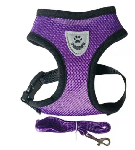 Fashionable Breathable Dog Harness – Lightweight Mesh Chest & Back Design